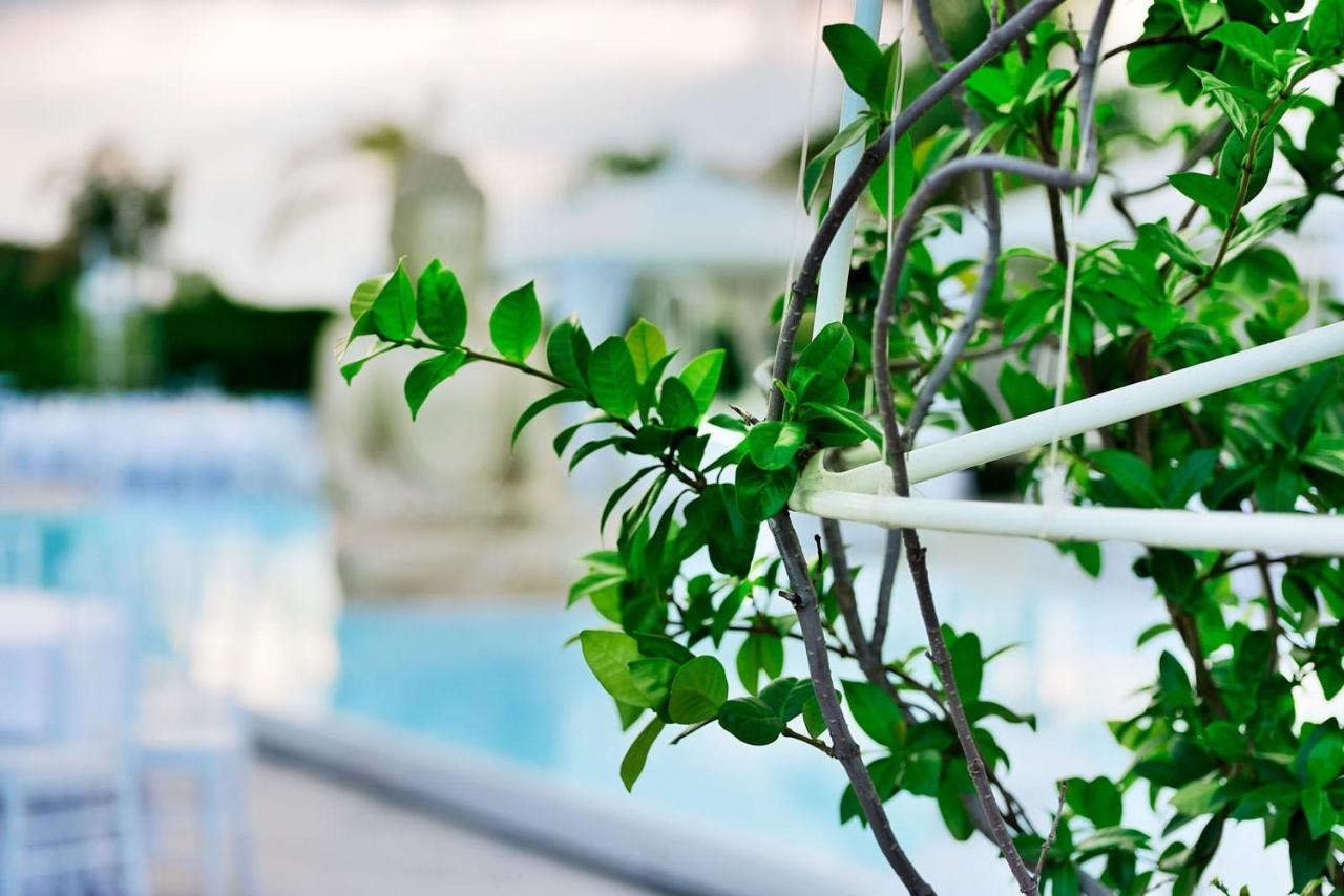 Villa La Fenice Ρέτζιο ντι Καλάμπρια Εξωτερικό φωτογραφία